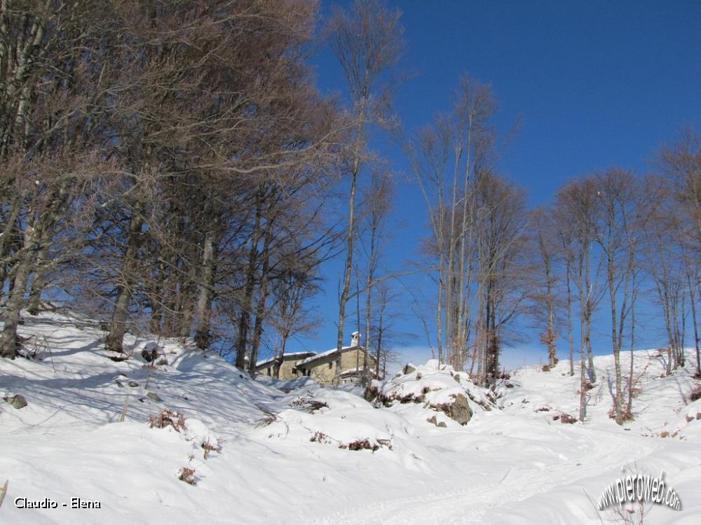 09 Baita nel bosco.JPG